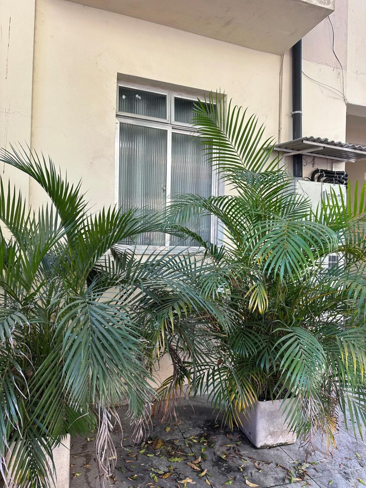Apartemen Great In Botafogo Near Beaches Zs *